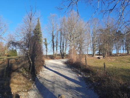 poljska pot Slovenska vas (8)